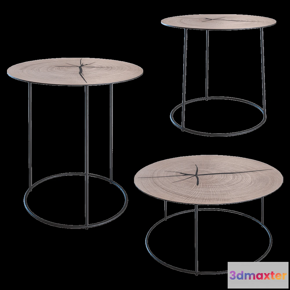 1638722 - Heerenhuis Manufactuur - Coffee table Nimbus 3D Max