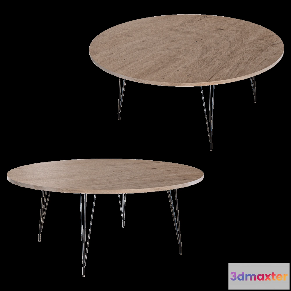 1638766 - Heerenhuis Manufactuur - Table Sputnik 3D Max