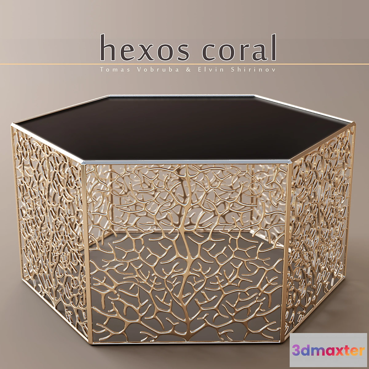 584872 - Hexos Coral by Elvin Shirinov