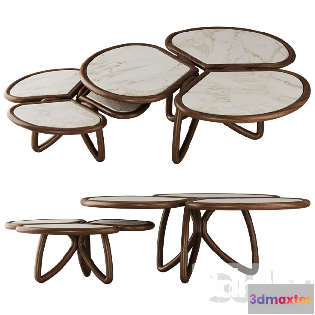 973896 - Roatan Set Coffee Table By Alma De Luce 1