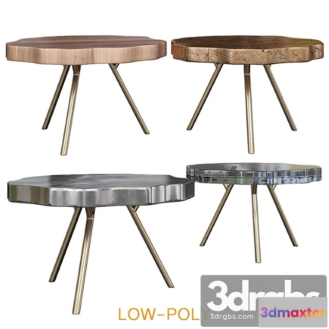 974530 - Trio petrified coffee table 2