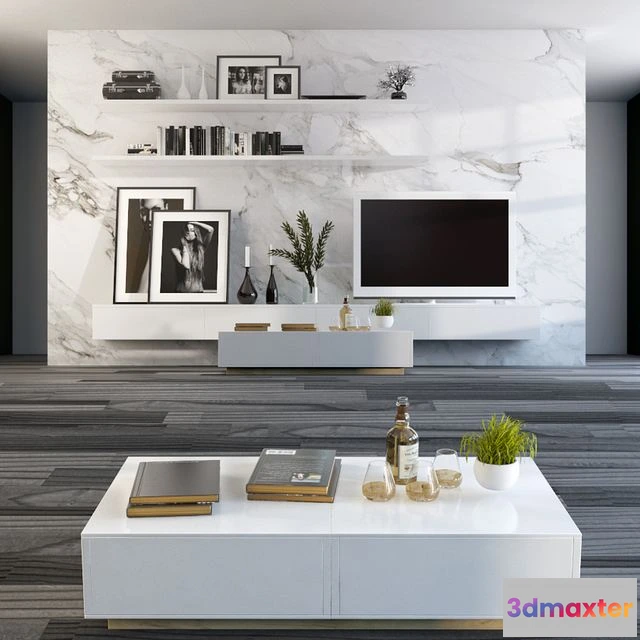 1550151 - Partition wall with TV 3D Max