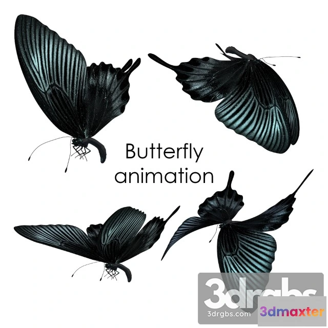 1002526 - Butterfly Animation