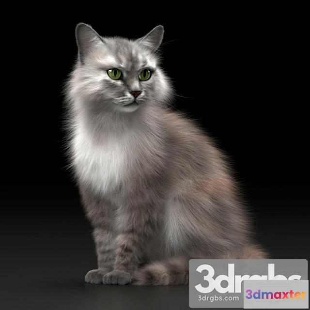 1002568 - Creature Cat 3