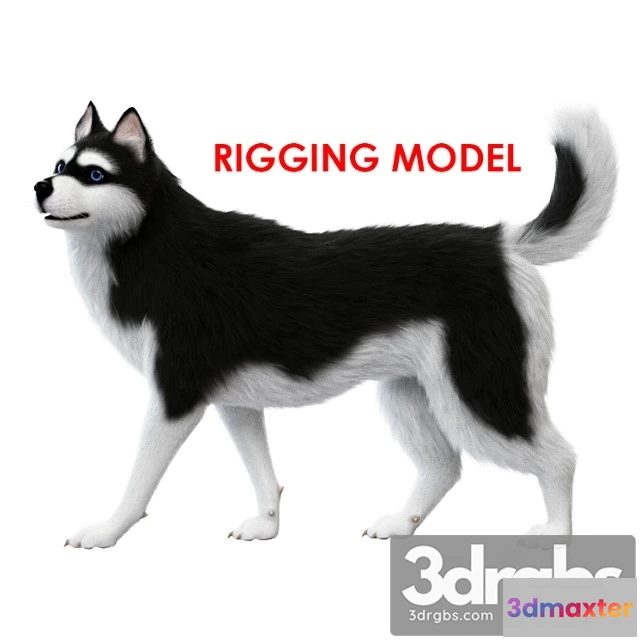 1002582 - Creature Dog (rig)