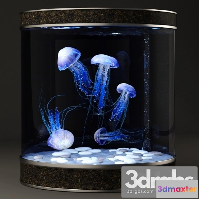 1002612 - Creature Jellyfish