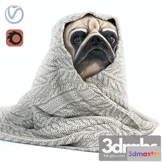 1002628 - Creature Pug 1 - winter is coming