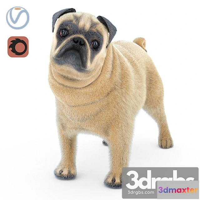 1002630 - Creature Pug 2