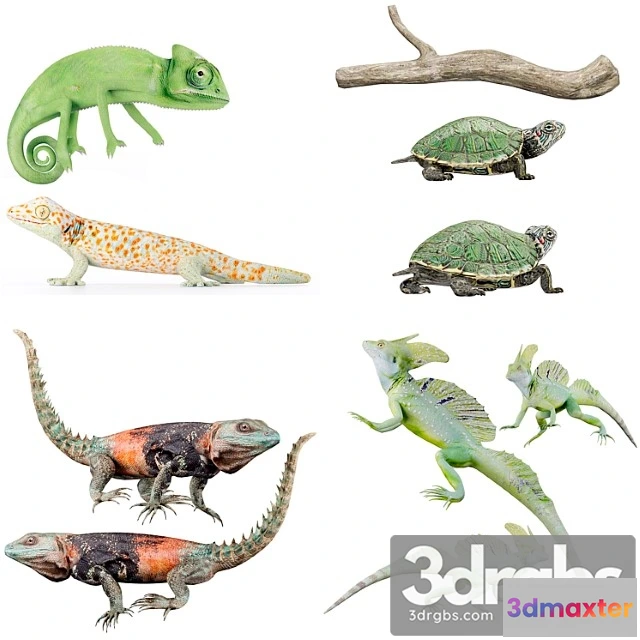 1002634 - Creature Reptile collection