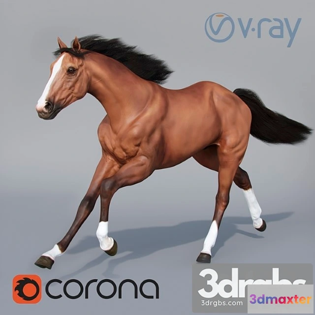 1002638 - Creature Running horse 02