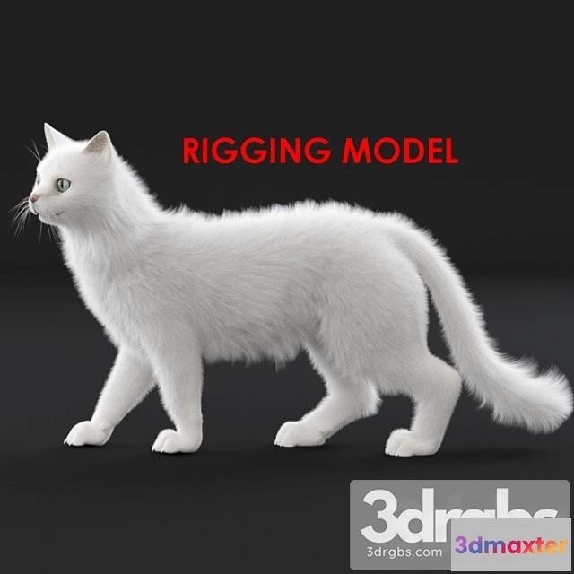 1002654 - Creature White cat (rig)