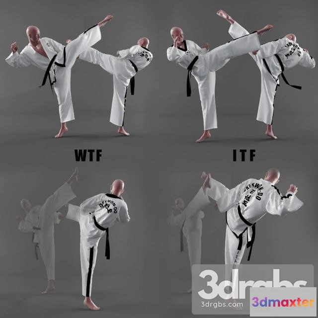 1002678 - Karate Fighter