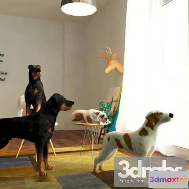 1002692 - Pointer Dog