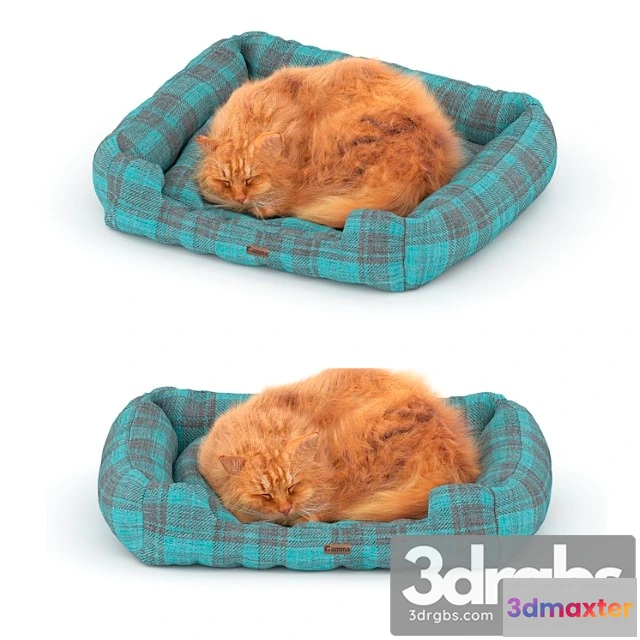 1002696 - Red Cat On A Bed