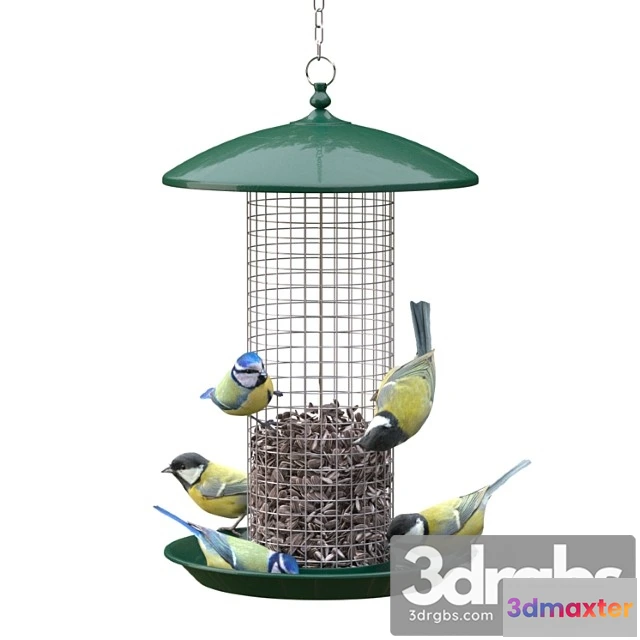 1056312 - Great tits and blue tits at bird feeder