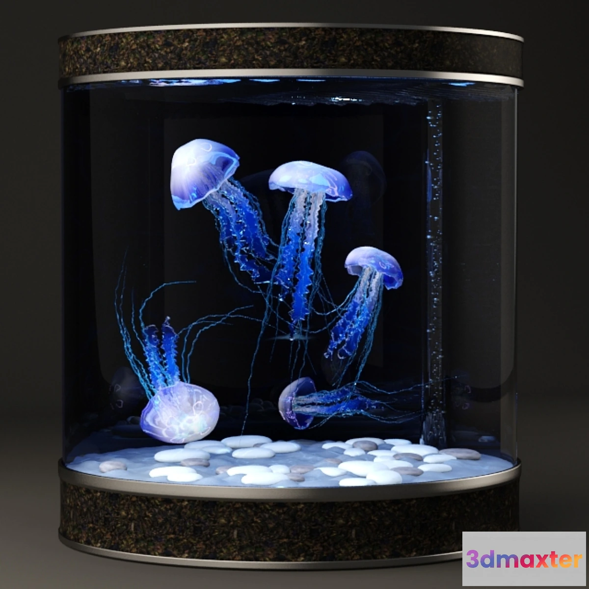 1303010 - Jellyfish 3D Max