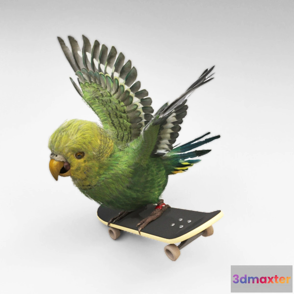 1308836 - Parrot 3D Max