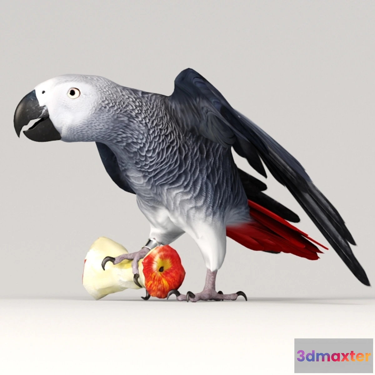 1308935 - Parrot Jaco 3D Max