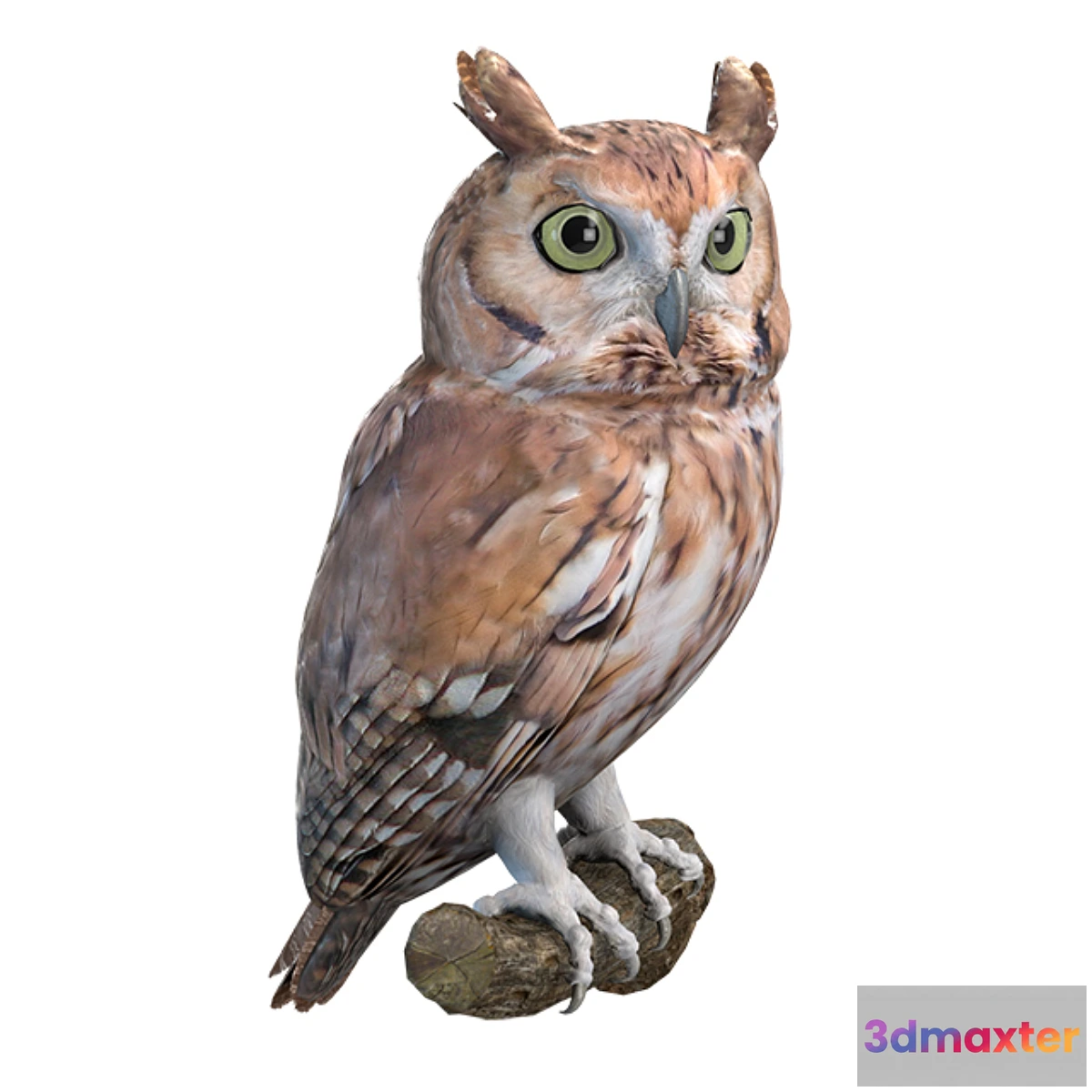 1323795 - Eastern scoop 3D Max