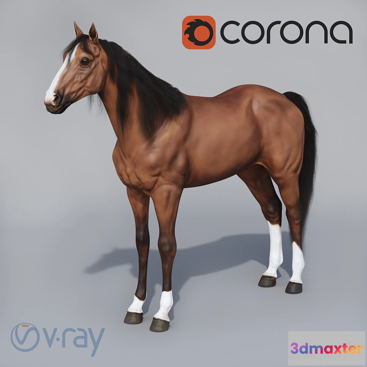 1328313 - Standing horse 3D Max