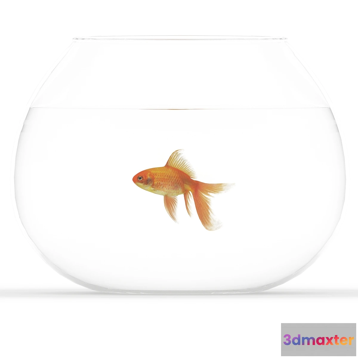 1333258 - Golden fish - No.2 3D Max