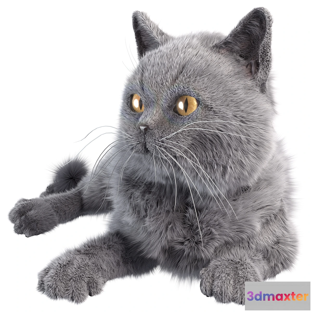 1345174 - Gray Cat 3D Max