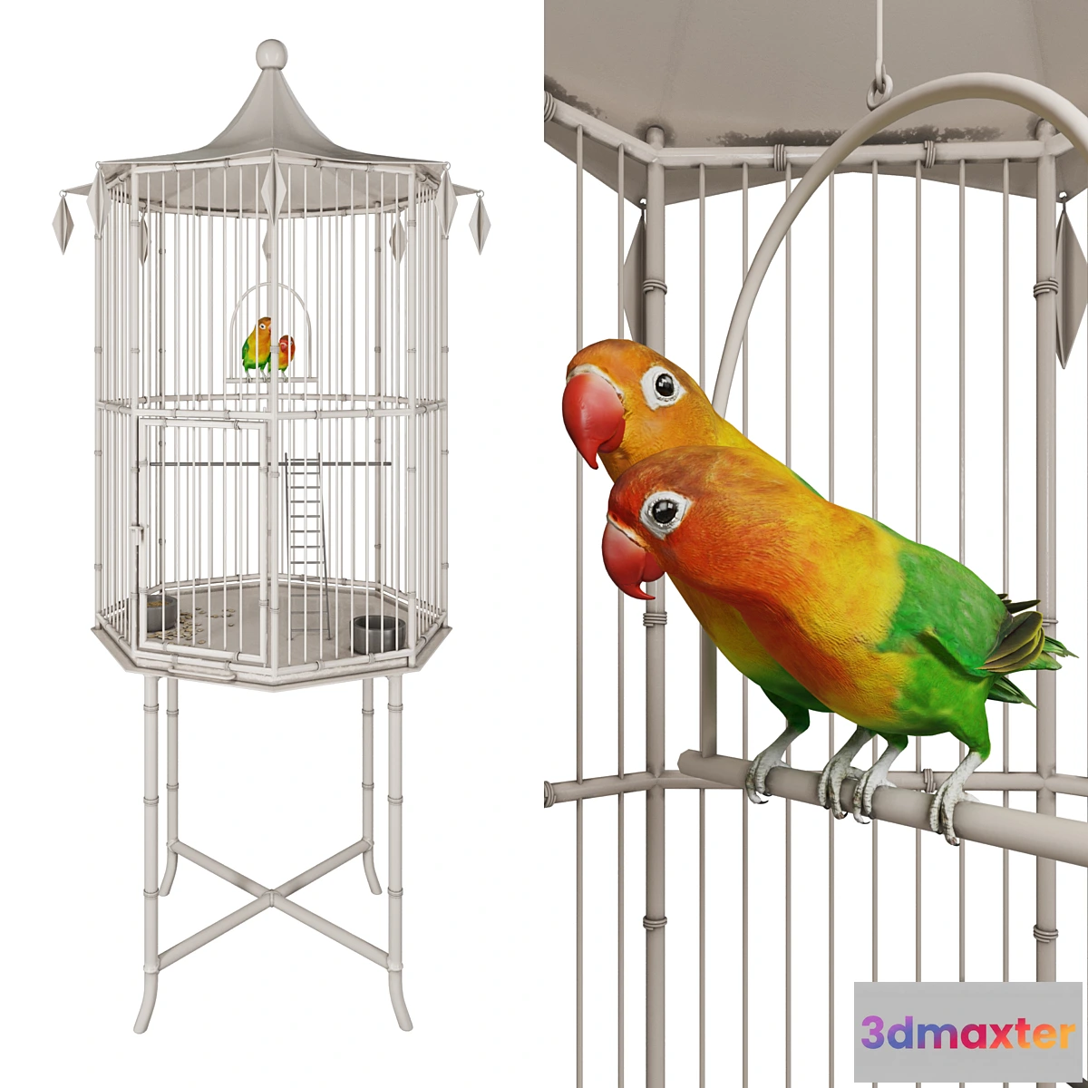 1406974 - Cage with lovebirds 3D Max