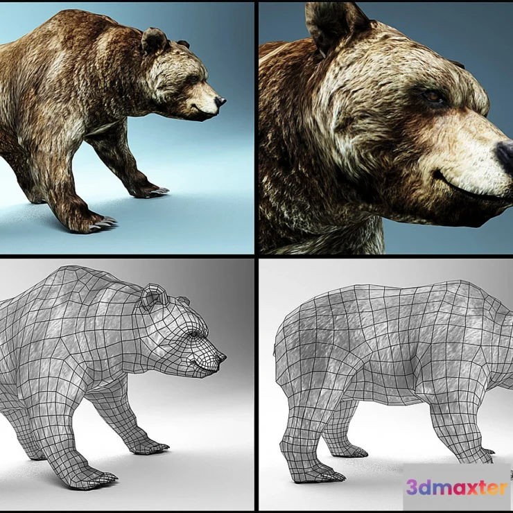 1419354 - bear 3D Max