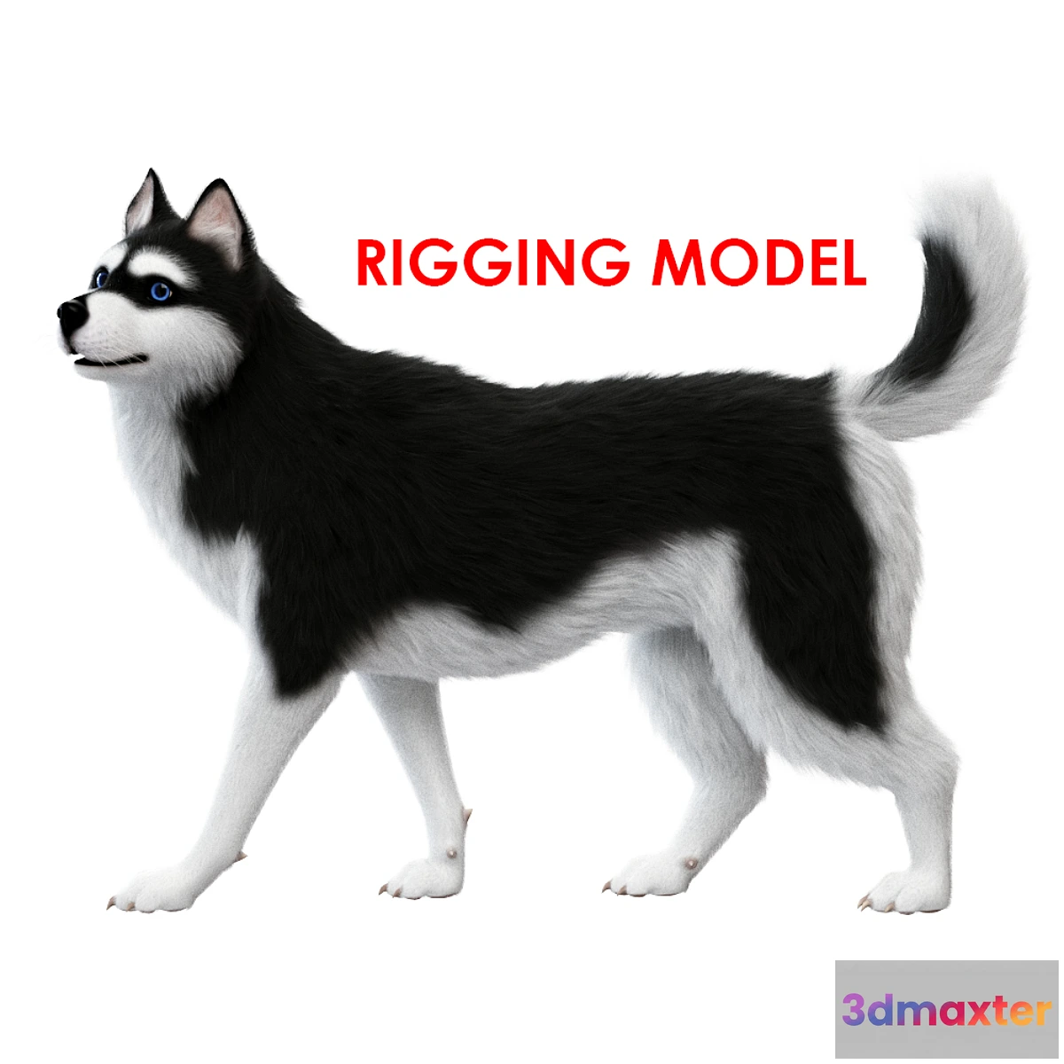 1436868 - Dog (rig) 3D Max