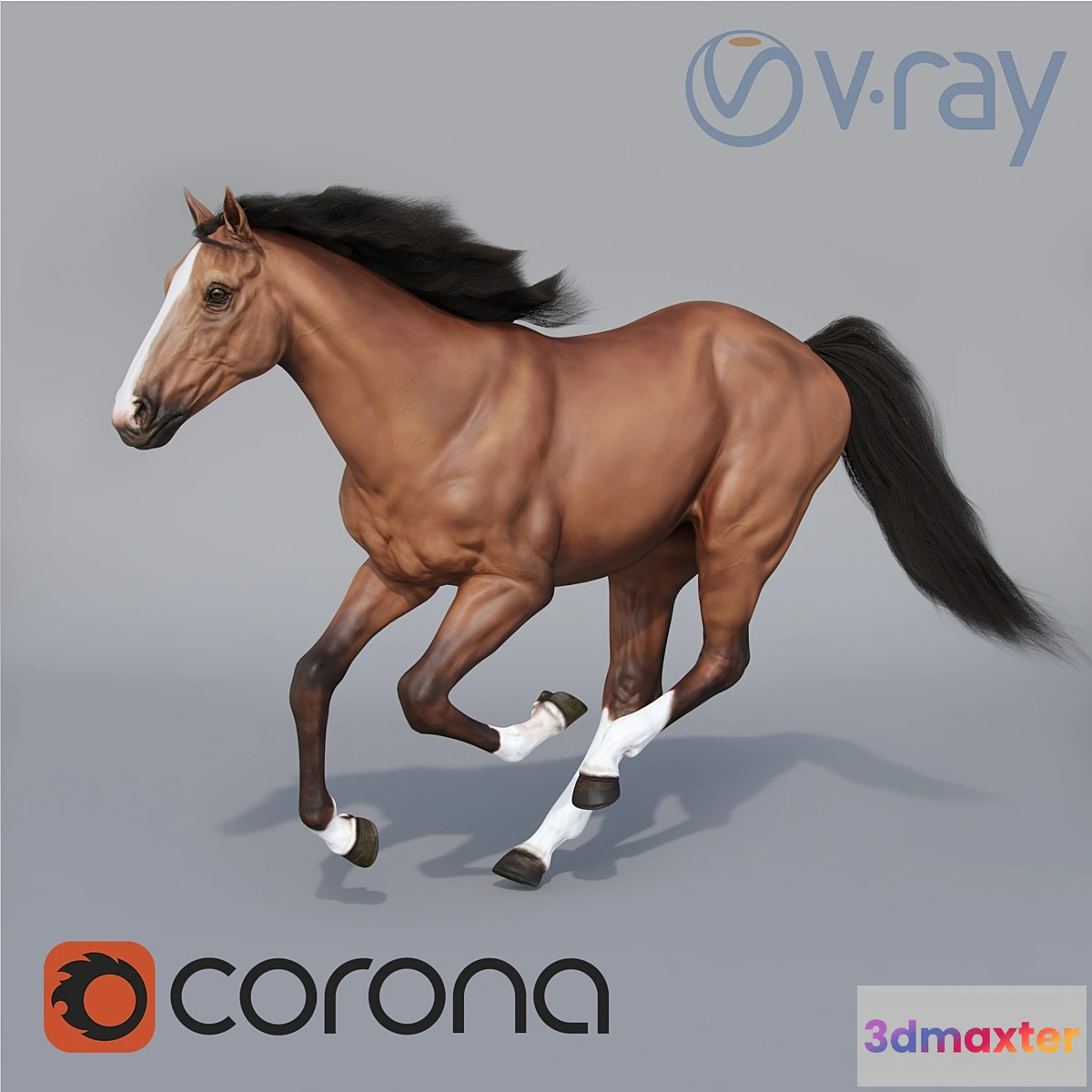 1462716 - Running horse 3D Max