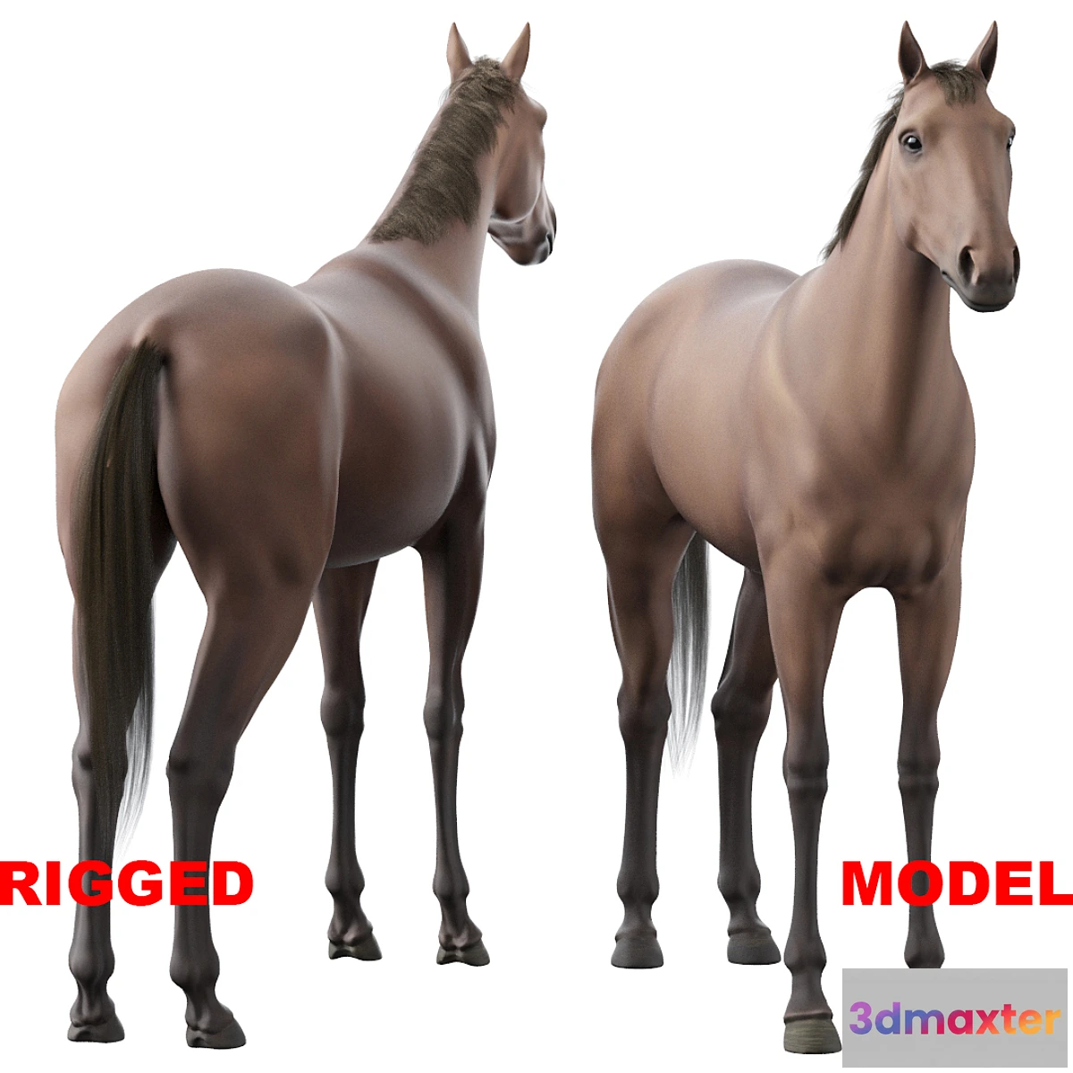 1466586 - Horse 3D Max