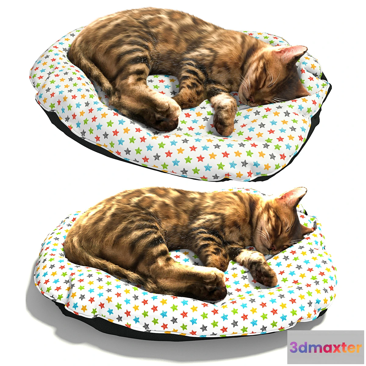 1474306 - Bengal kitten 3D Max