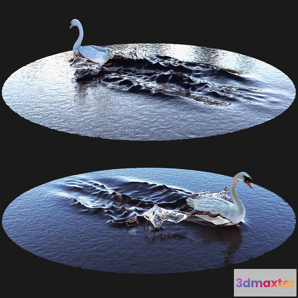 569612 - Goose on water - No.2