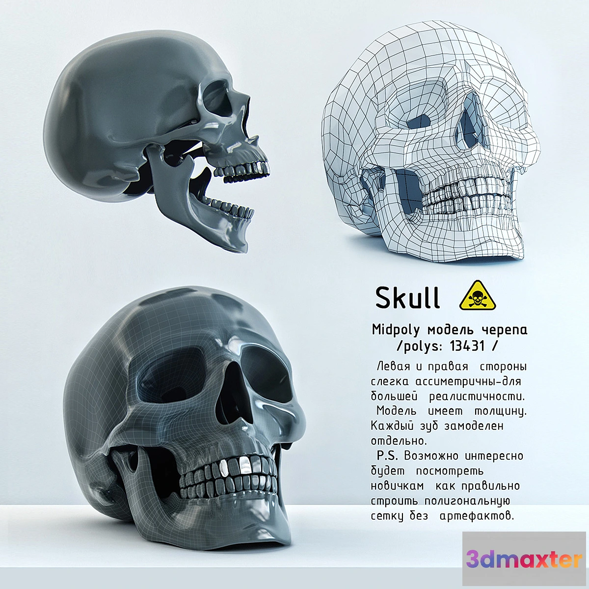 579440 - Skull