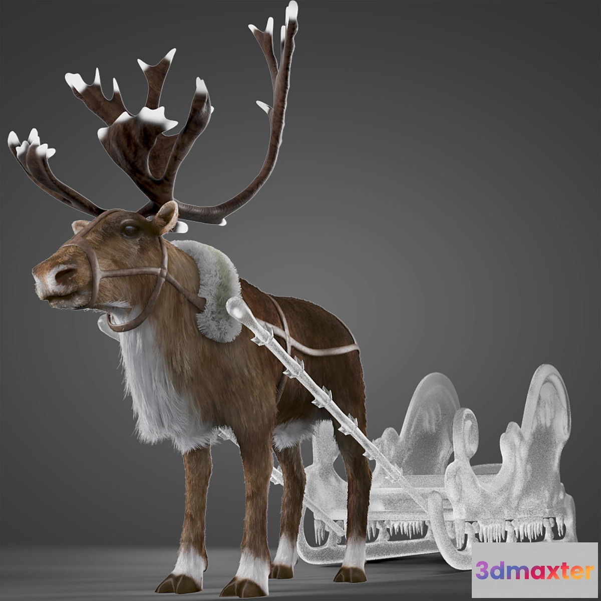 639397 - North Deer - No.2