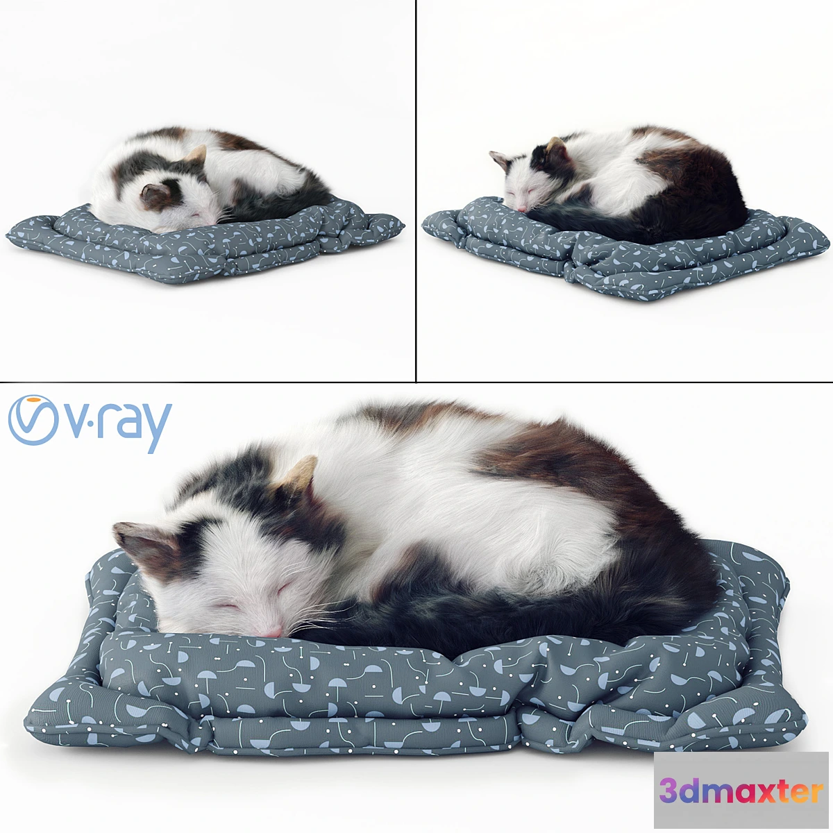 657125 - Fluffy cat - No.2