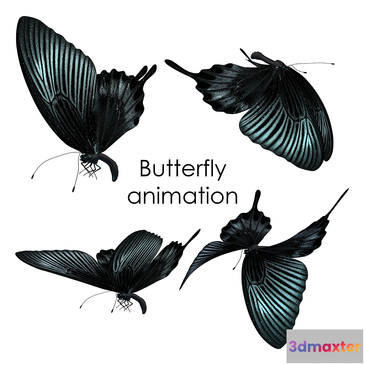 669019 - Butterfly animation