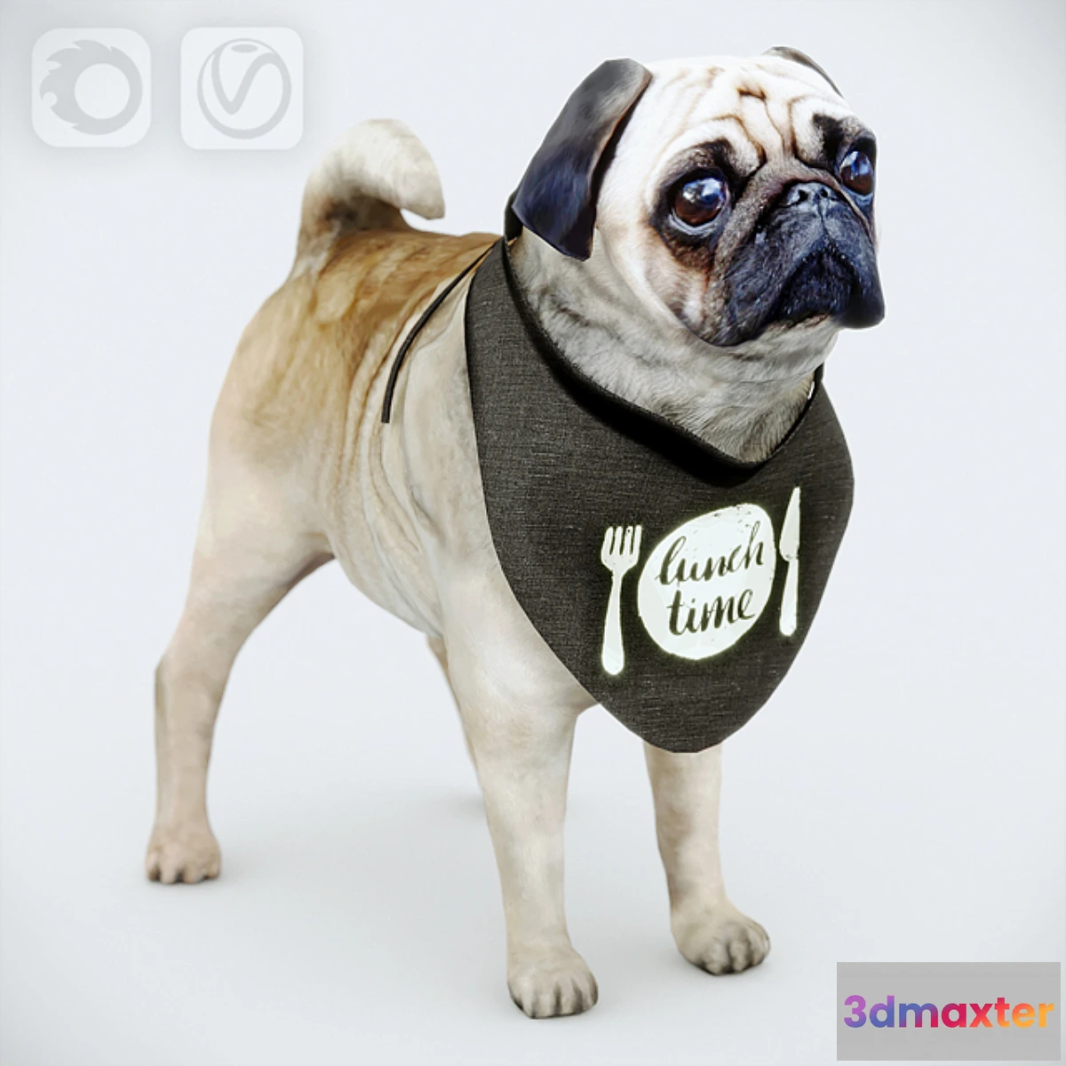 673905 - Cute Pug (vray + corona)
