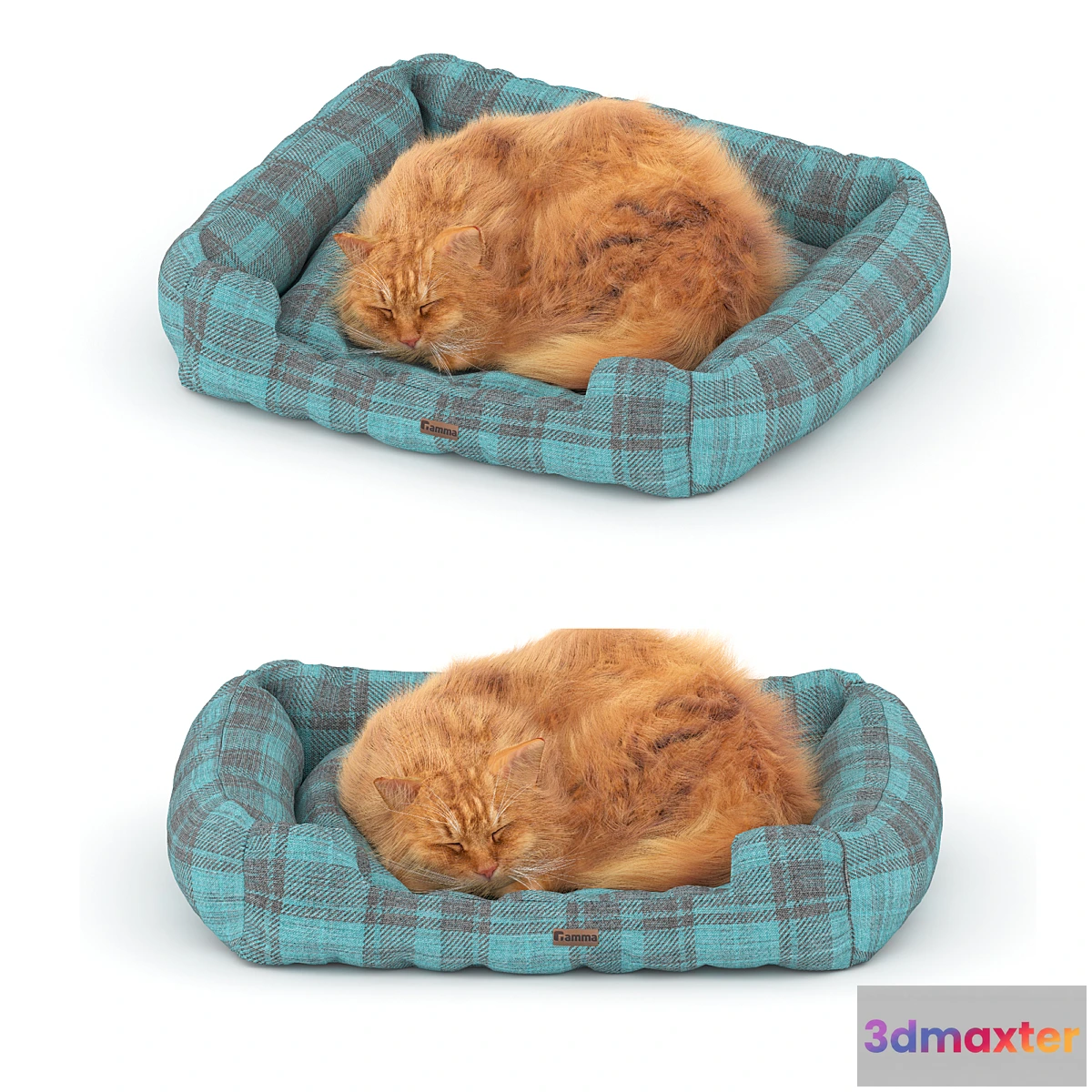 705388 - Ginger cat on the bed