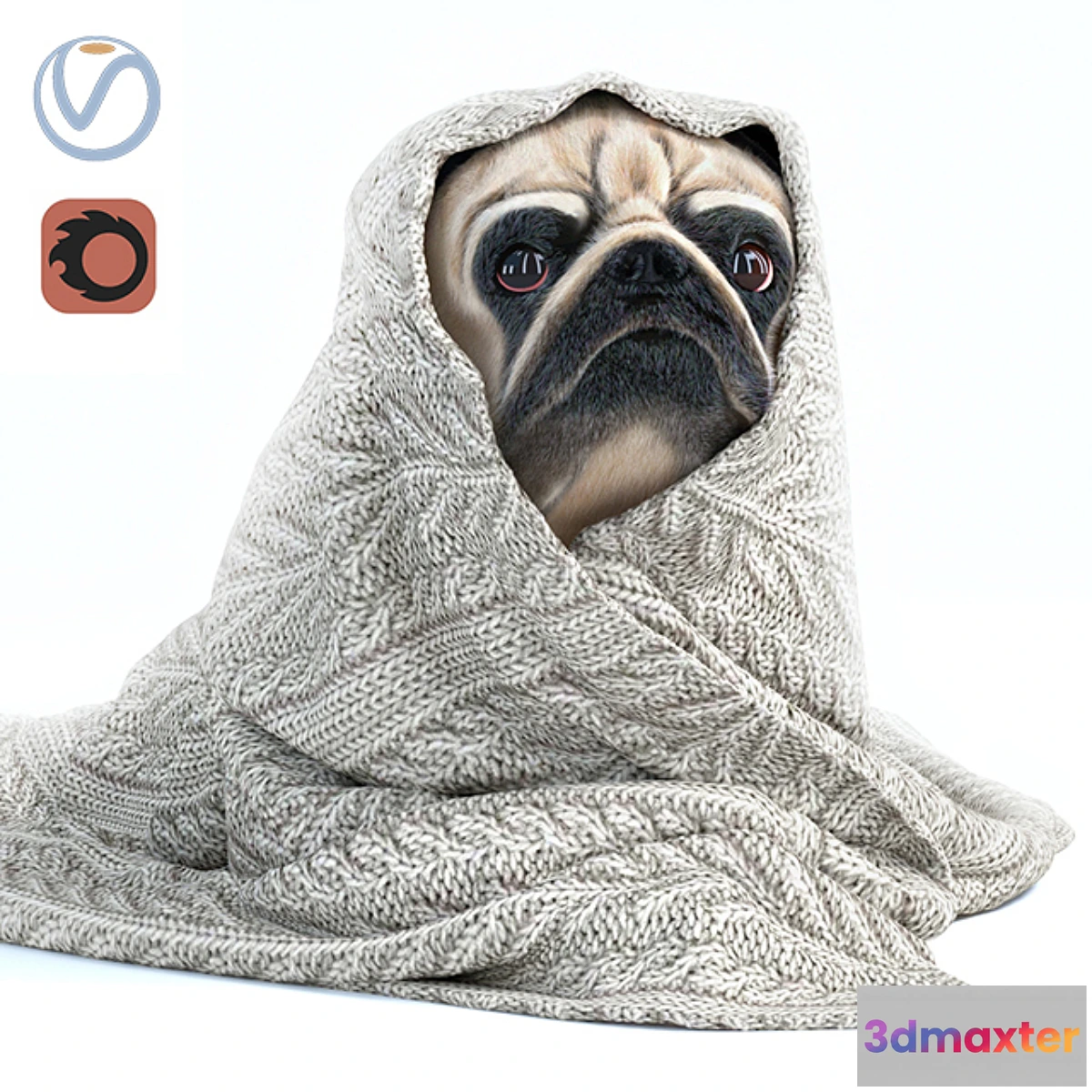 729980 - Pug 1 - Winter is coming - No.3