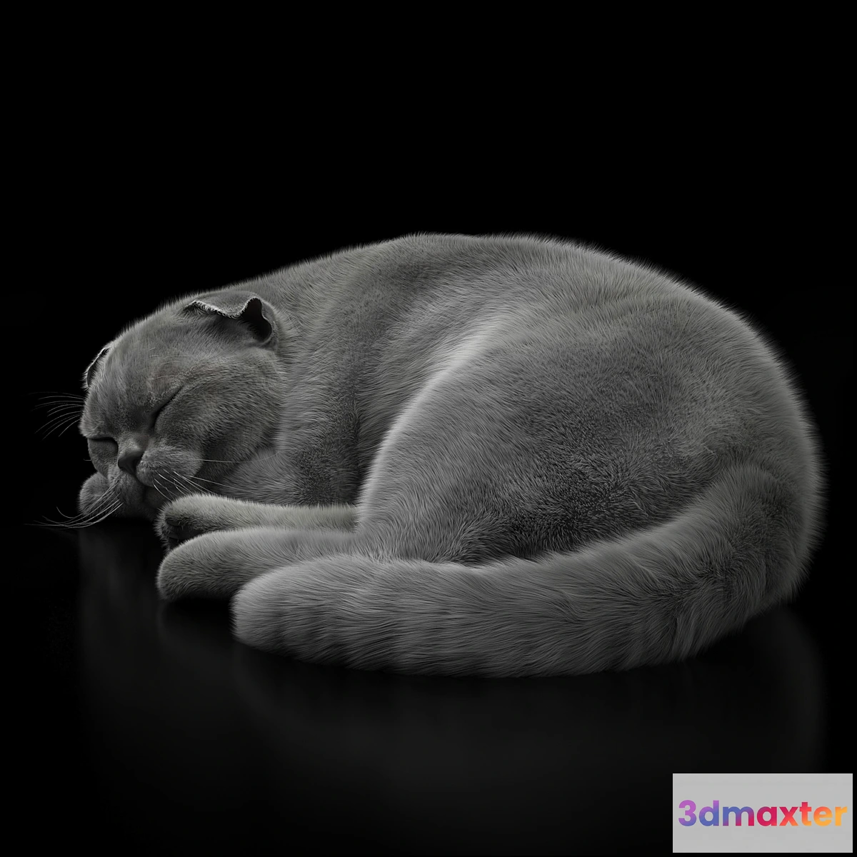 730002 - CAT 6 VRay - No.3