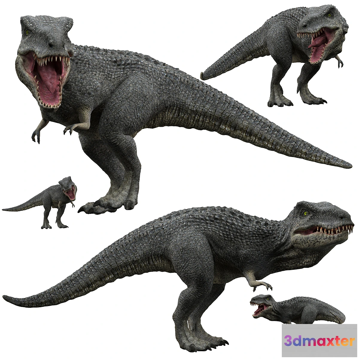 754523 - Tyrannosaurus rex