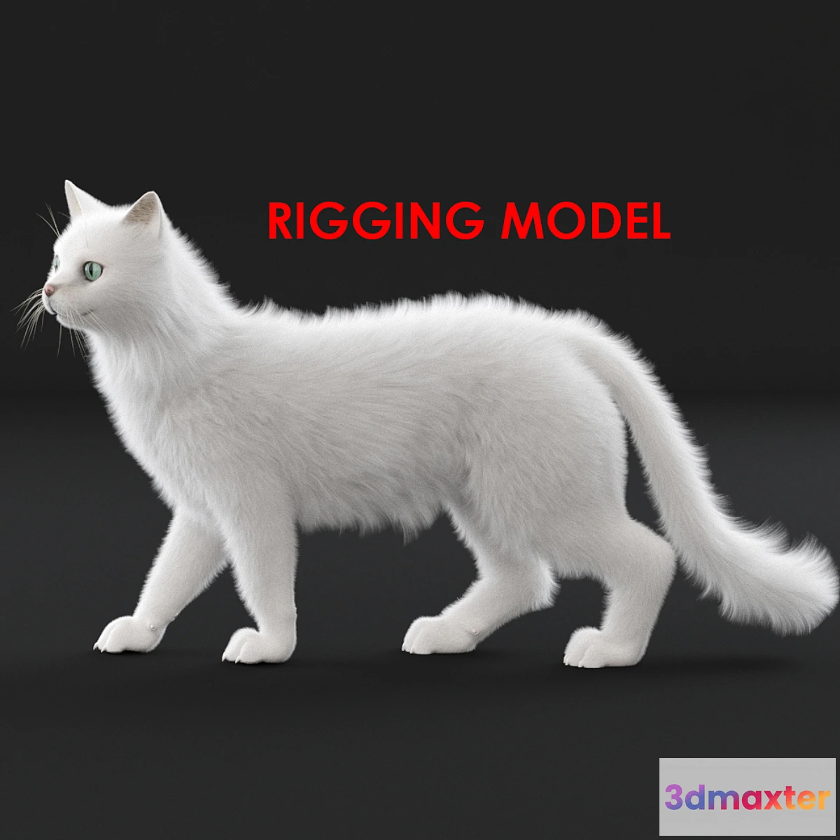 754535 - White cat (rig)