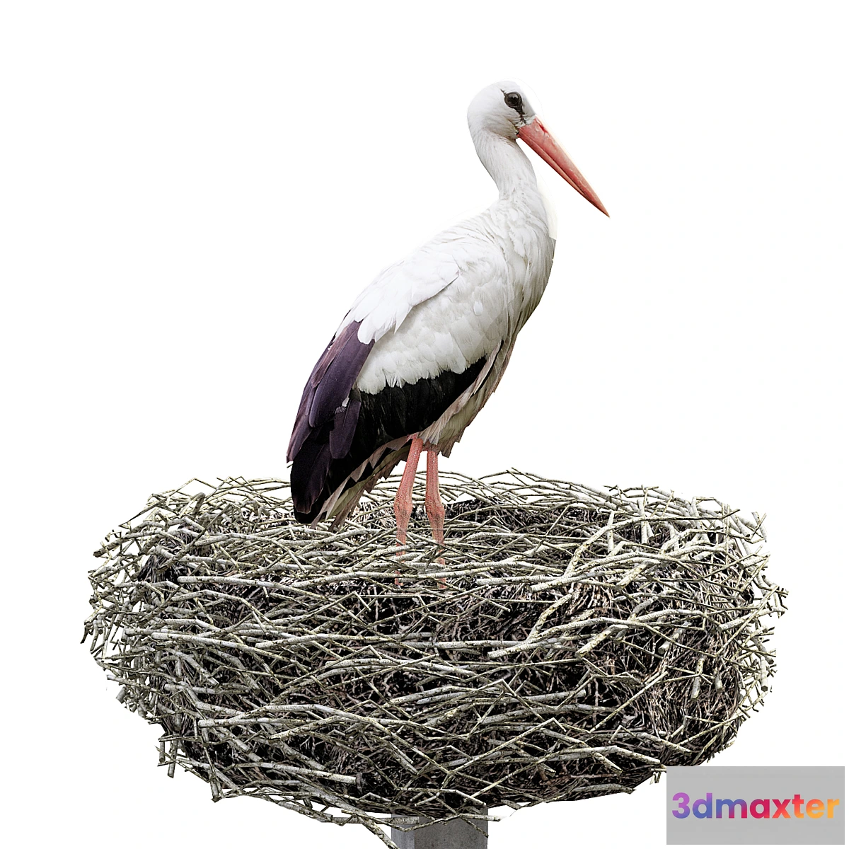 779559 - Stork - No.2