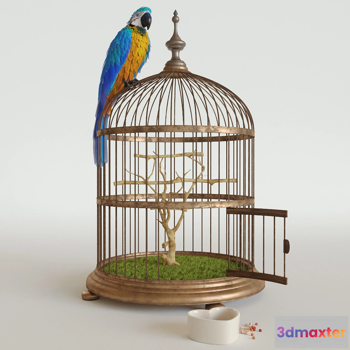 810746 - Parrot Ara
