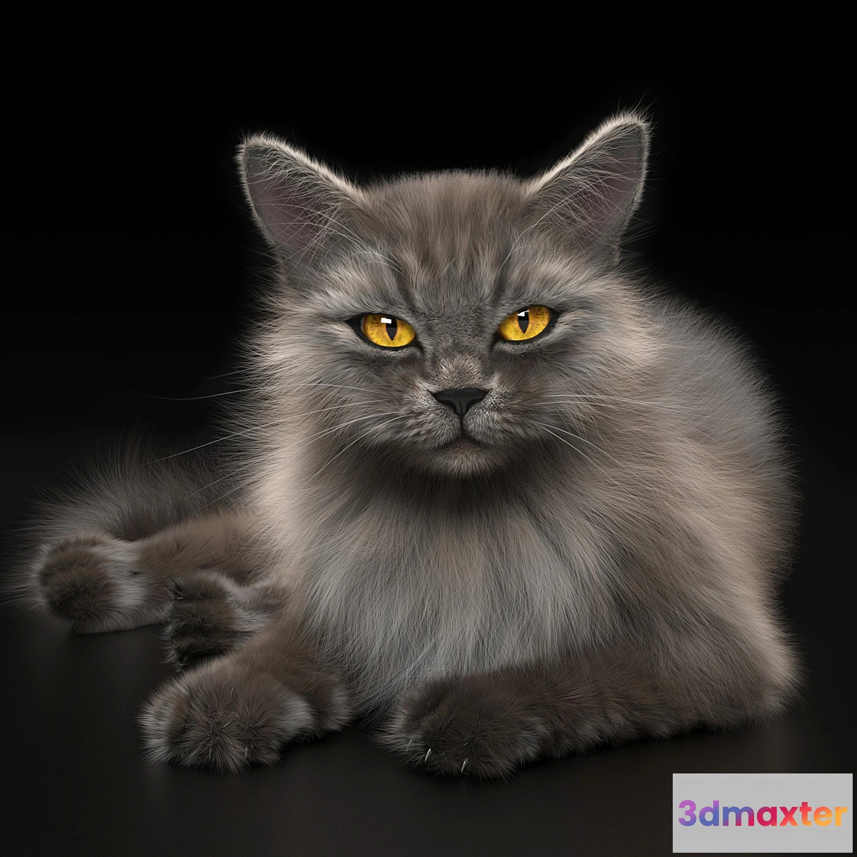 810750 - CAT 4 VRay - No.2
