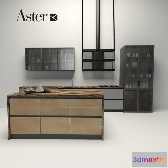 1558521 - Aster - factory 3D Max