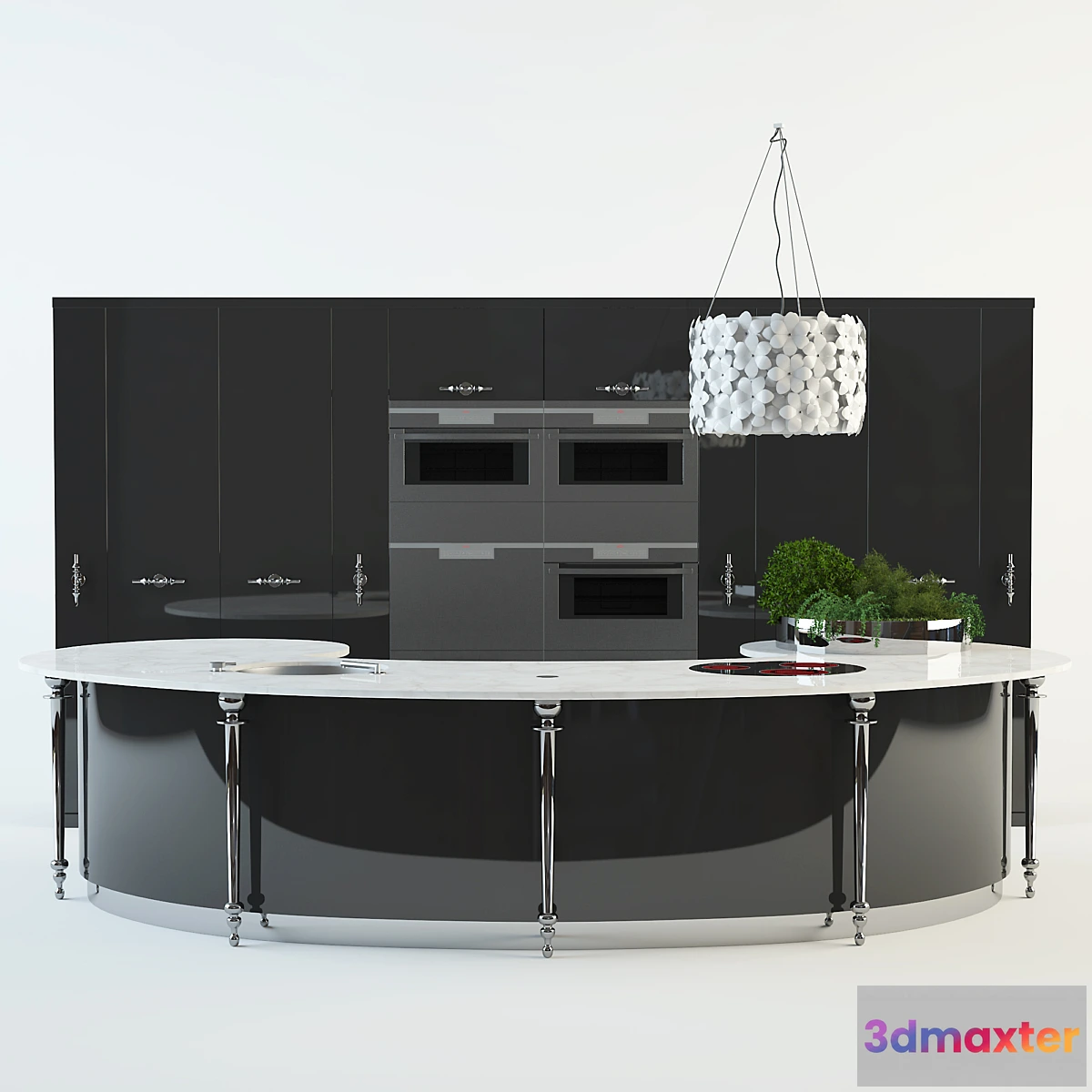 628003 - Visionnaire _ Cycas - No.2