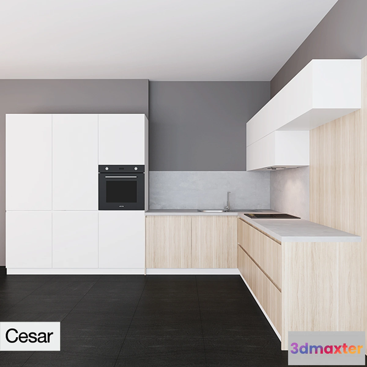 652669 - Cesar Maxima 2.2 zahvat hook