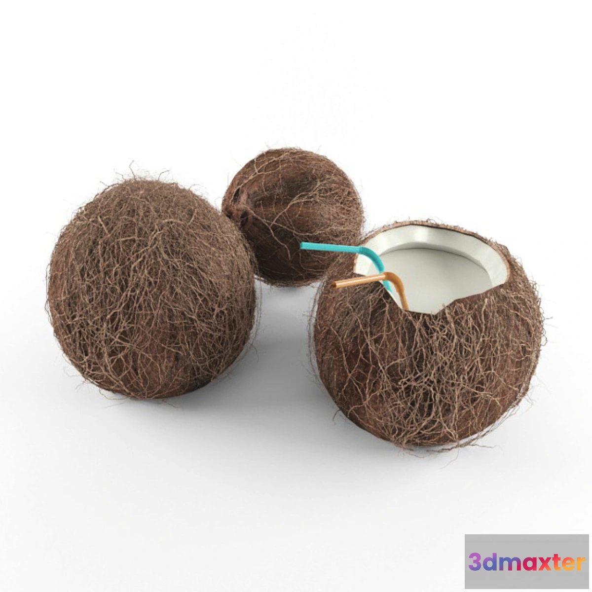1274988 - Coconut 3D Max